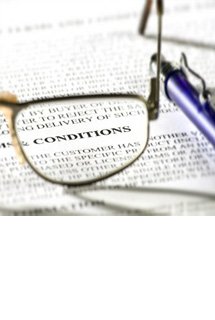 Términos y Condiciones del sitio web