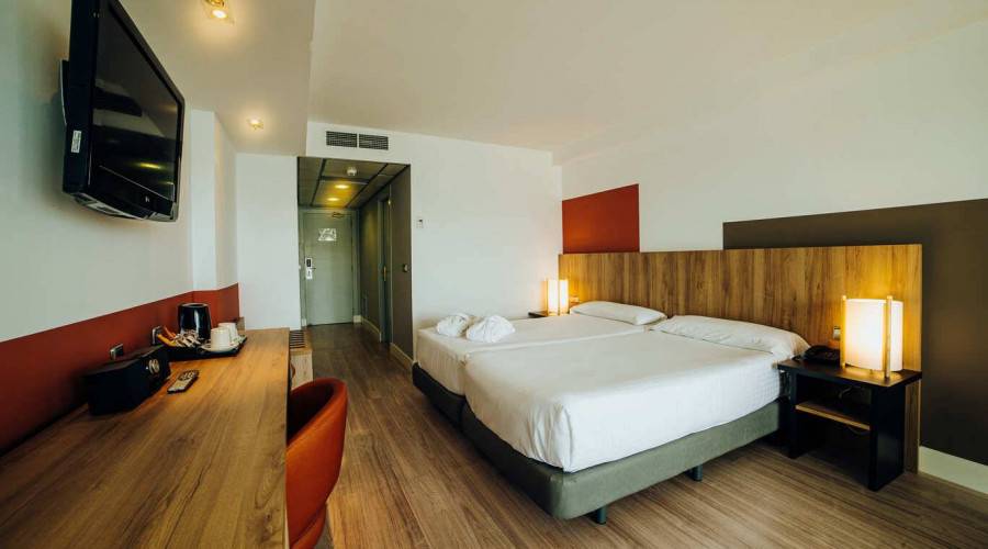 Club Room Flamingo Oasis
