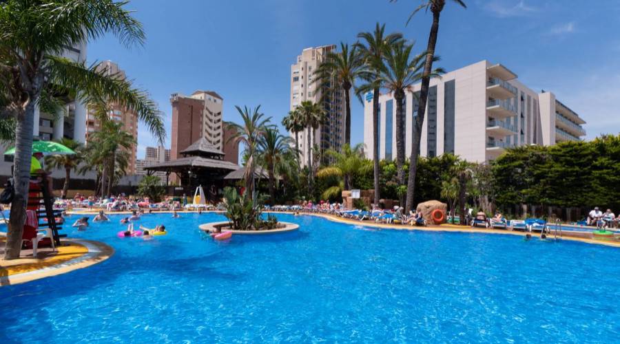 Flamingo Oasis