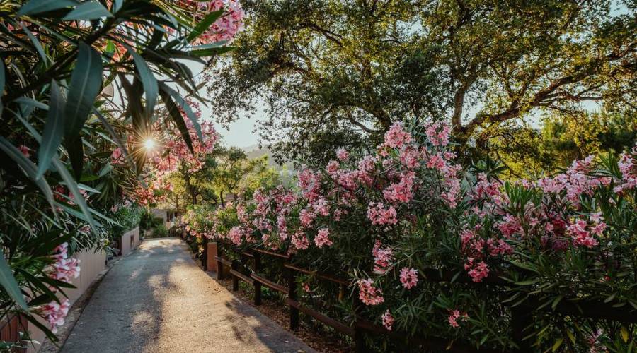 Resort Giverola