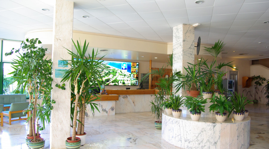 Hotel Pino Alto