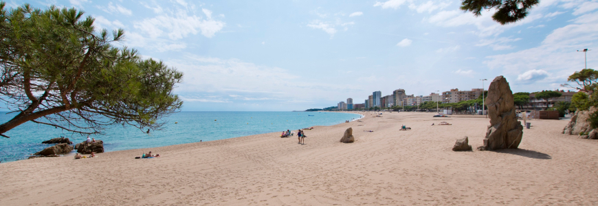 Descuento 15% Hotel Monterrey - Hotel en Playa de Aro