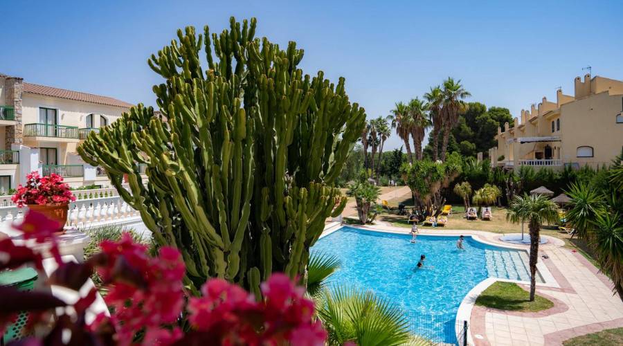 Hotel Pino Alto