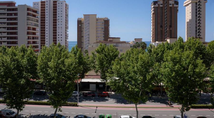 riudor